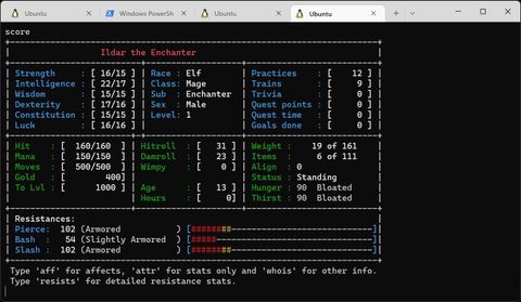 Playing Multi-user Dungeon (MUD) in the Terminal