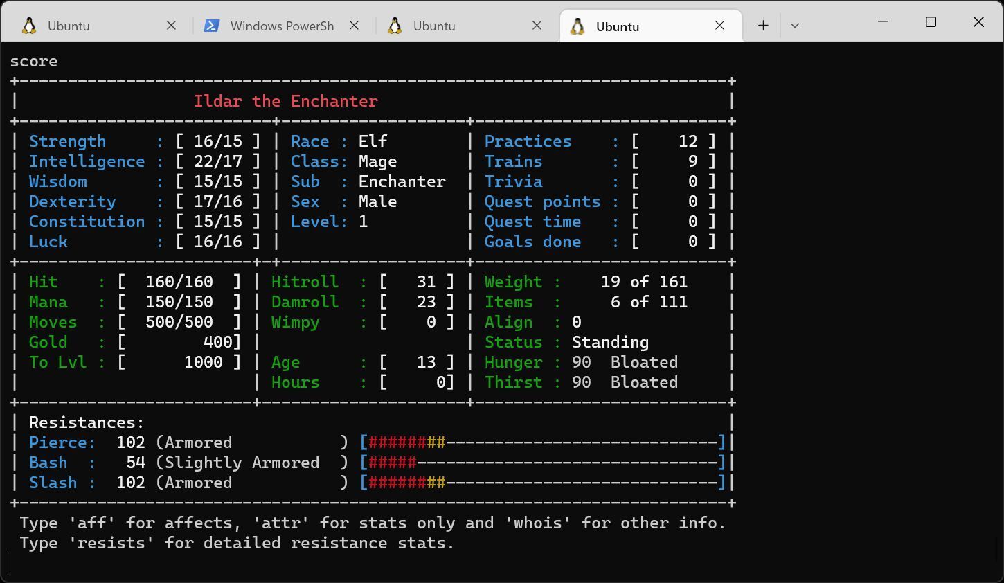 Playing Multi-user Dungeon (MUD) in the Terminal