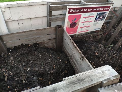 My Summer Science Project